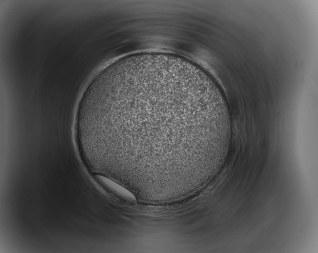 X0000087741379200705291004