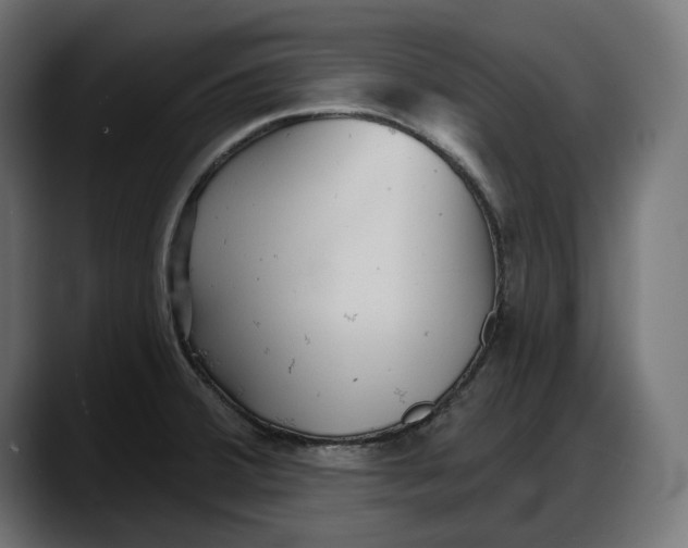 X0000087741380200705291004