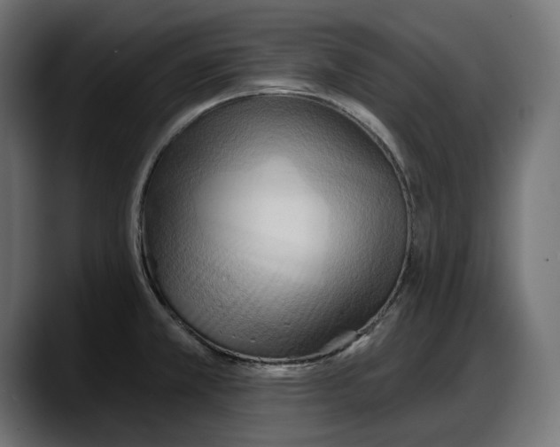 X0000087741381200705291004