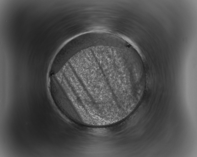 X0000087741383200705291004
