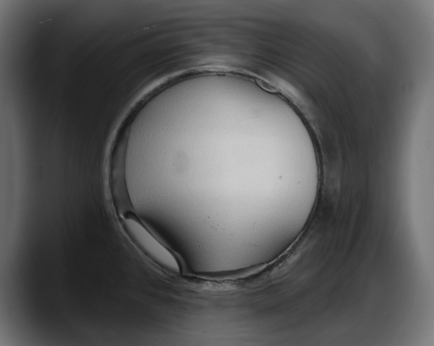 X0000087741384200705291004