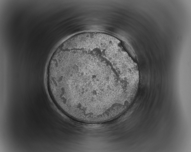 X0000087741387200705291004