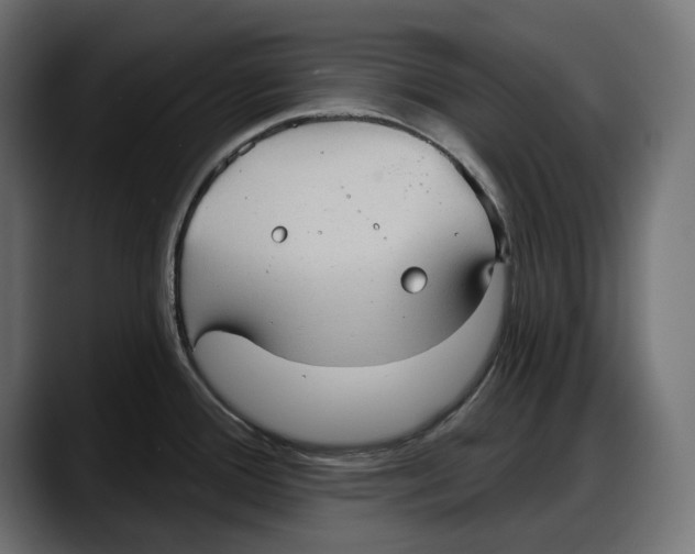 X0000087741388200705291004