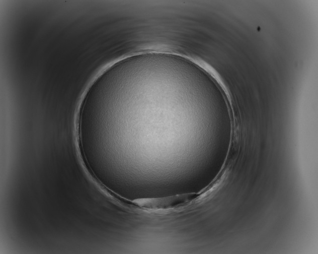 X0000087741389200705291004
