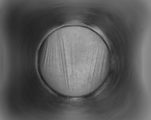 X0000087741390200705291004