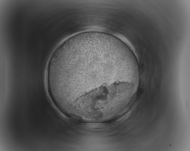 X0000087741391200705291004