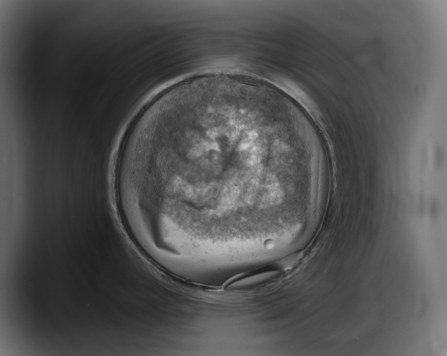 X0000087741392200705291004