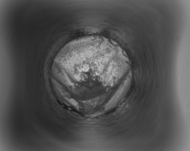 X0000087741393200705291003