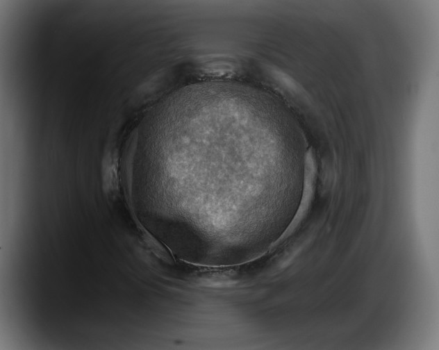 X0000087741394200705291003