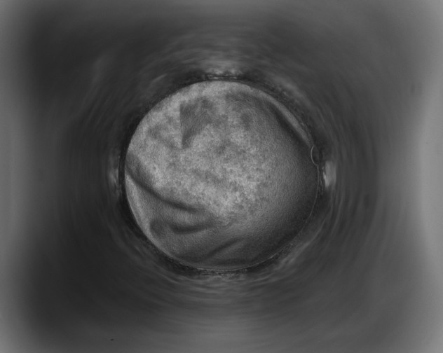 X0000087741396200705291003