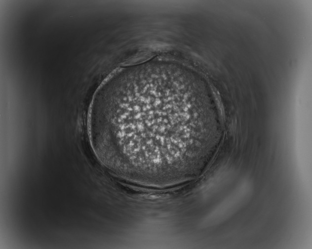X0000087741397200705291003