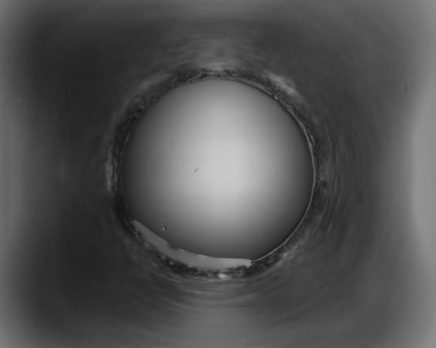 X0000087741398200705291003
