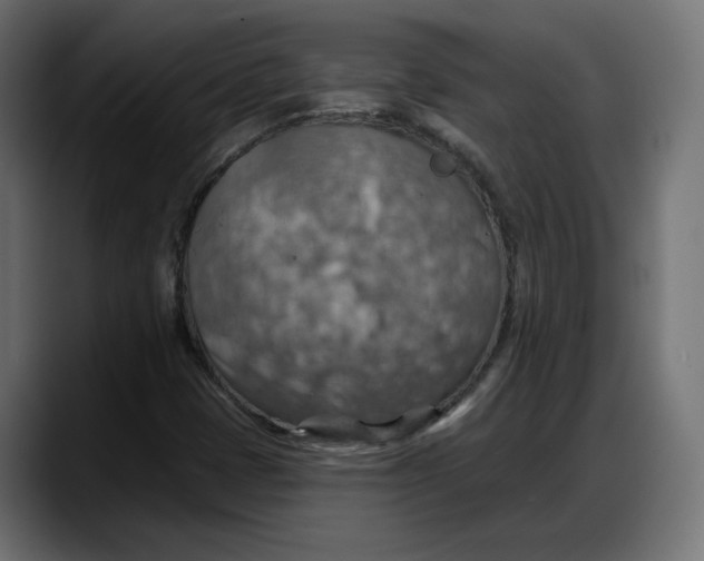 X0000087741401200705291003