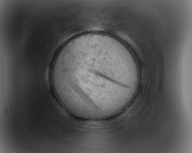 X0000087741404200705291003