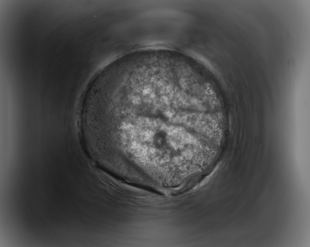 X0000087741405200705291003