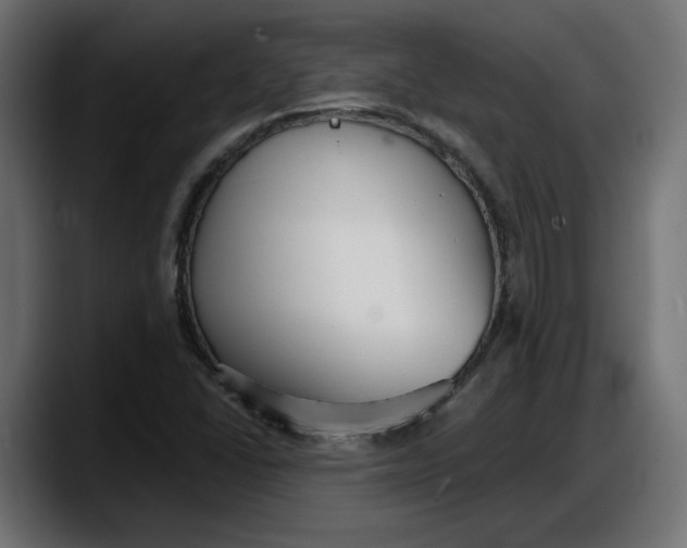 X0000087741406200705291003