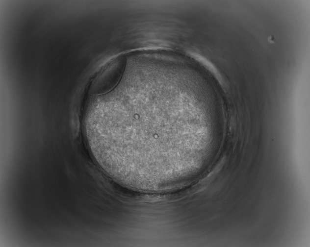 X0000087741407200705291003