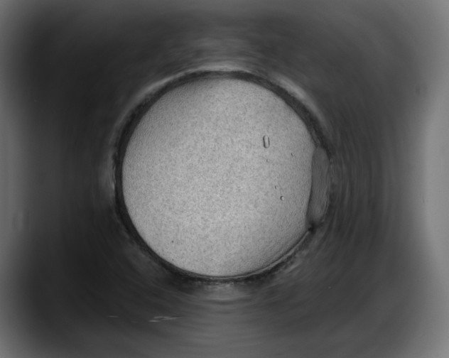 X0000087741408200705291003