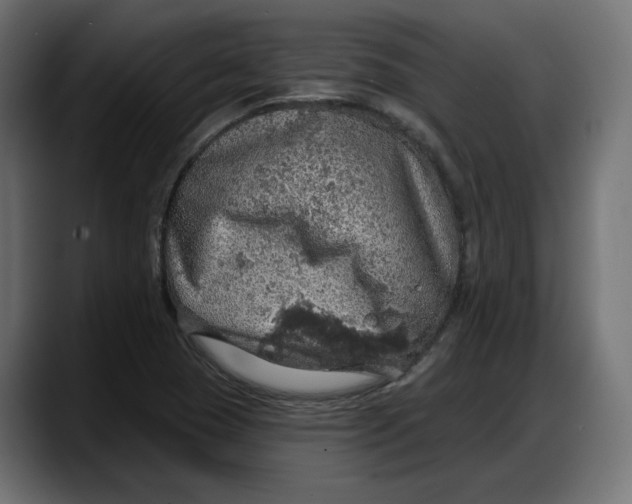 X0000087741409200705291003