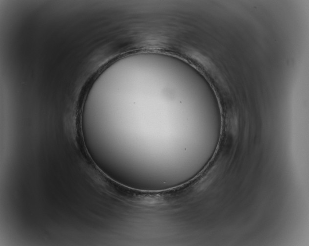 X0000087741410200705291003