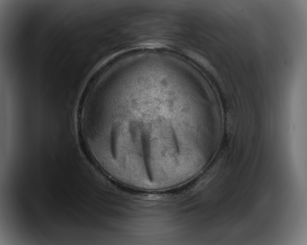 X0000087741412200705291003