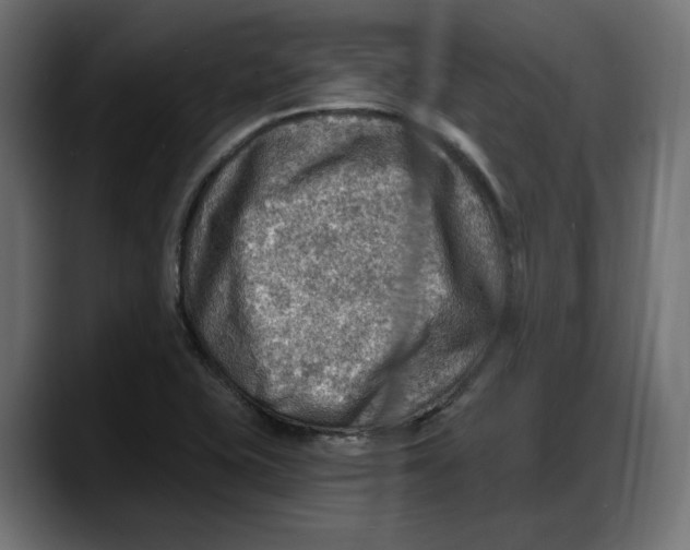 X0000087741415200705291003