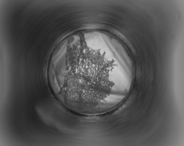 X0000087741417200705291003