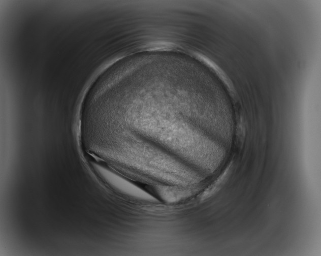 X0000087741418200705291003