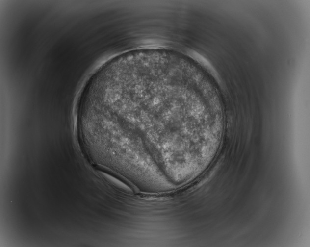 X0000087741419200705291003