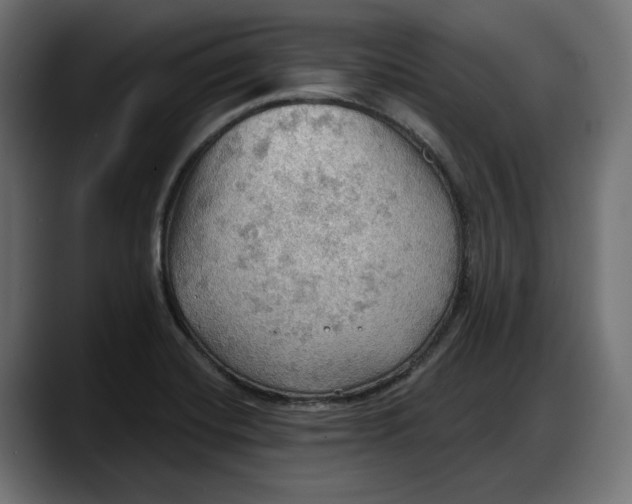 X0000087741420200705291003