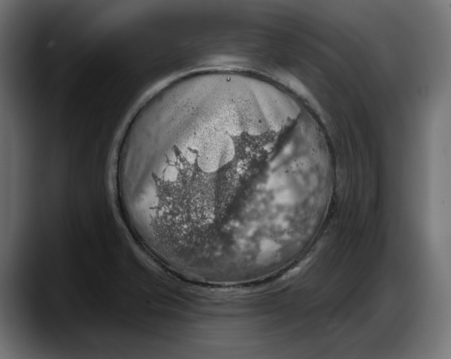 X0000087741421200705291003