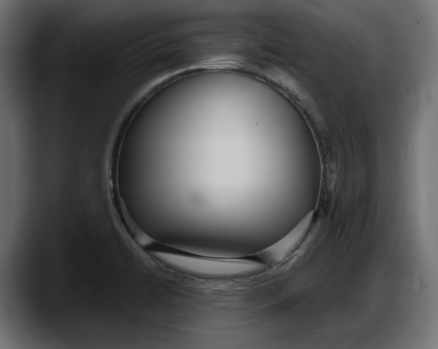 X0000087741422200705291003