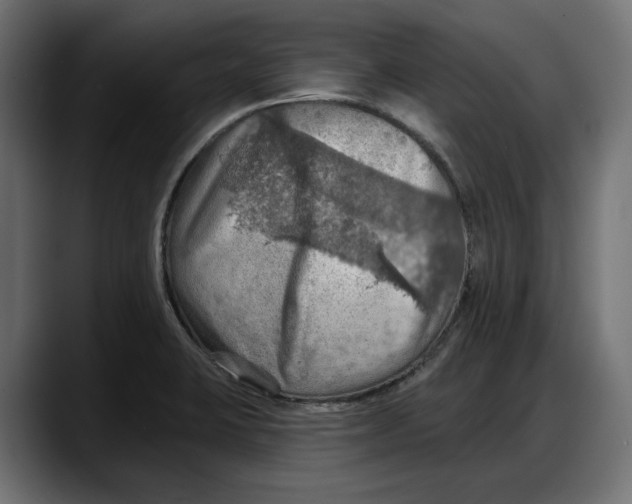 X0000087741423200705291003