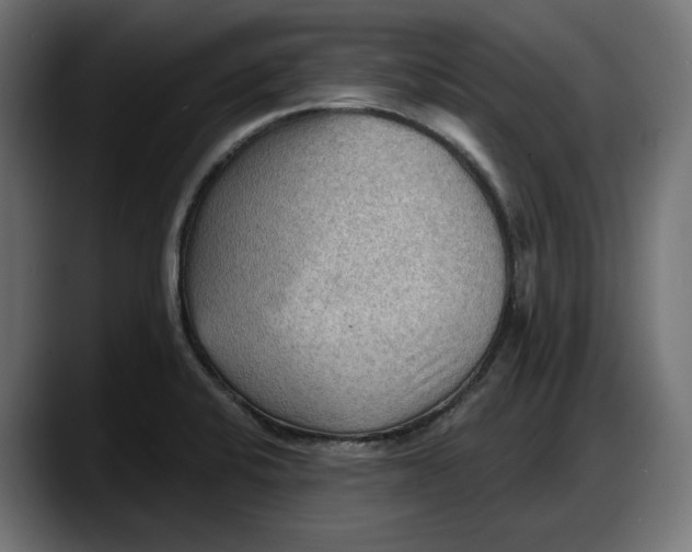 X0000087741424200705291003