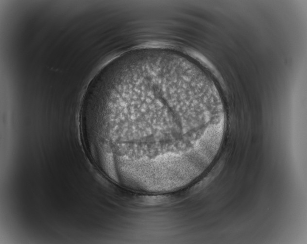 X0000087741425200705291004