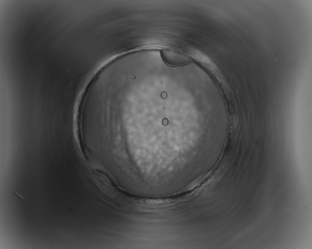 X0000087741427200705291004