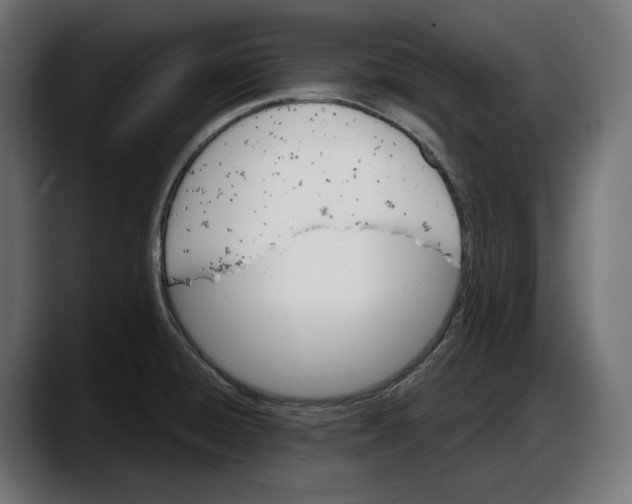 X0000087741428200705291004