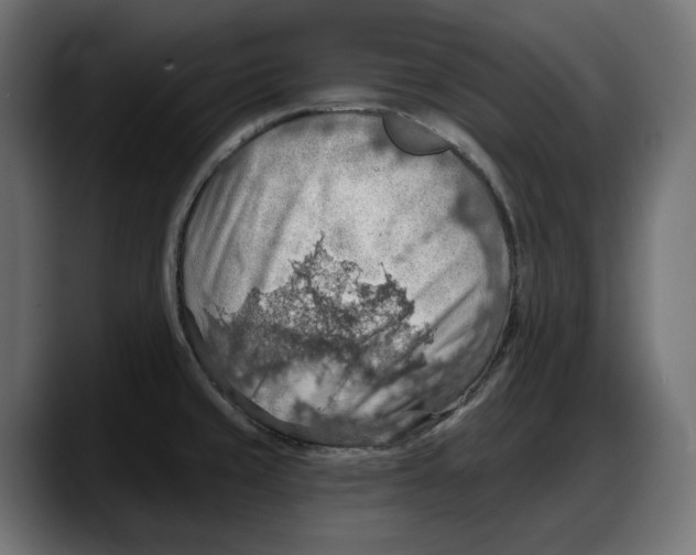 X0000087741429200705291004