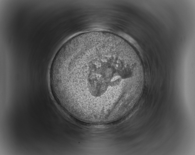 X0000087741431200705291004