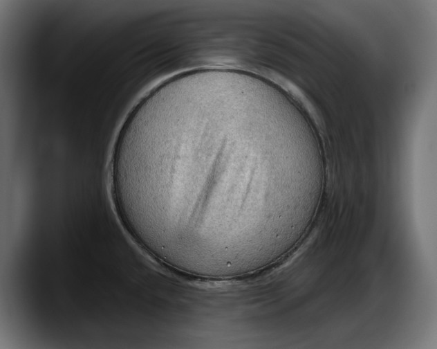 X0000087741432200705291004