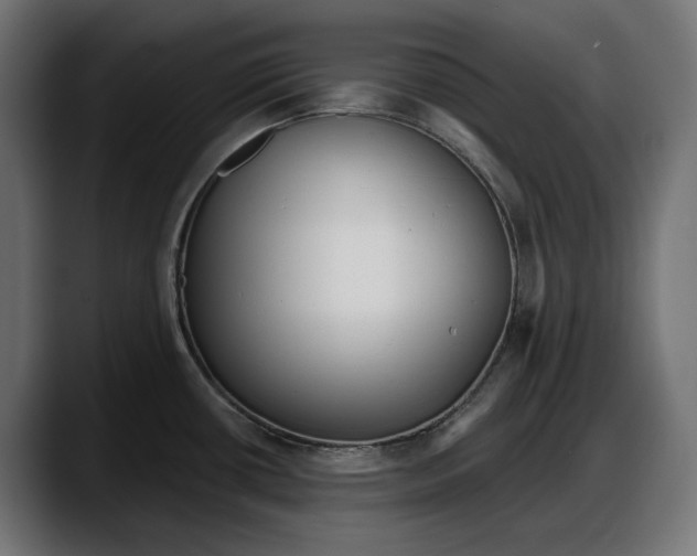 X0000087741434200705291004