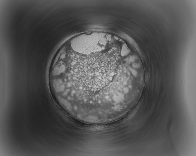 X0000087741435200705291004