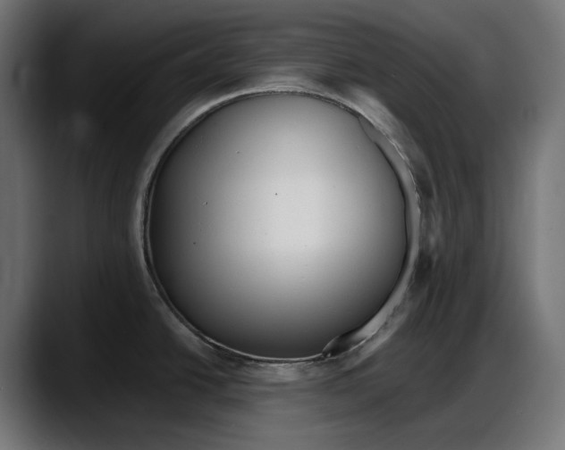 X0000087741438200705291004