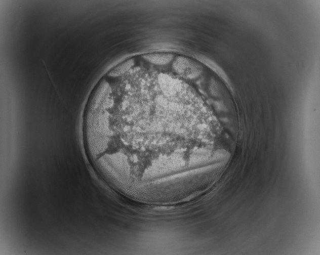 X0000087741439200705291004