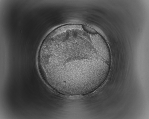 X0000087741440200705291004