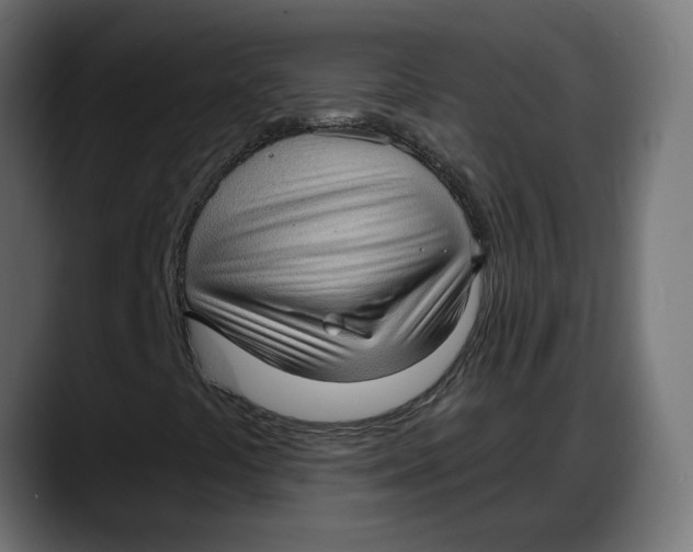 X0000087741441200705291003
