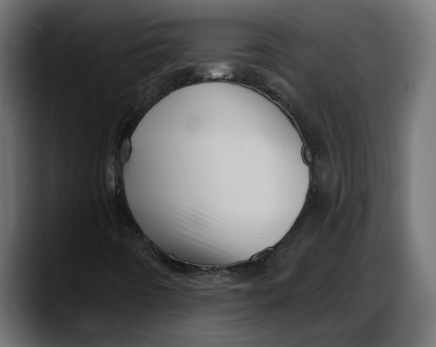 X0000087741442200705291003