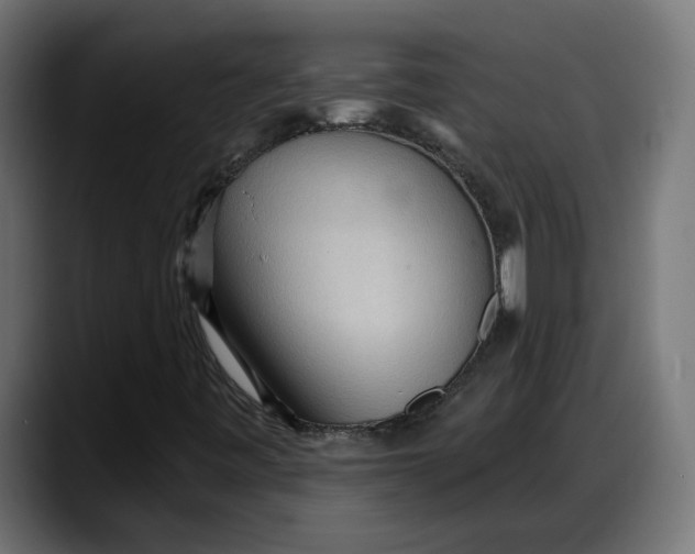 X0000087741443200705291003