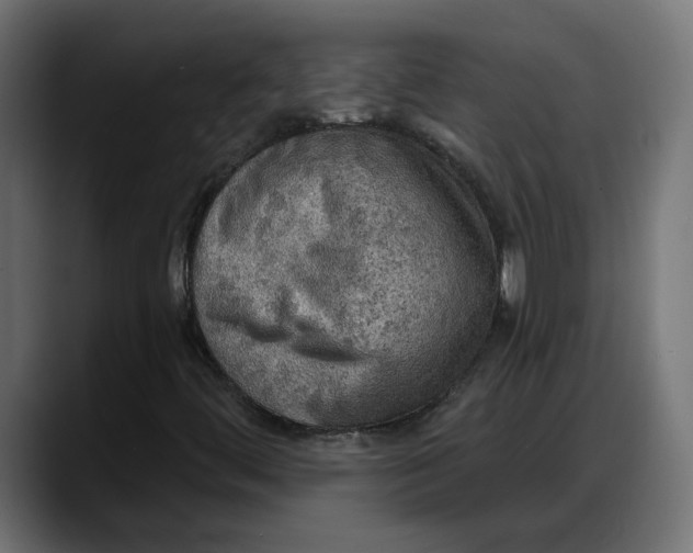 X0000087741444200705291003
