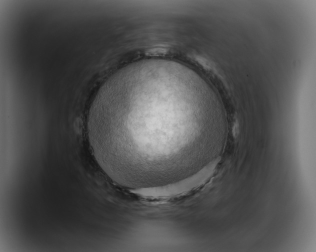 X0000087741445200705291003